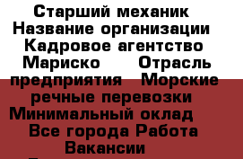 Старший механик › Название организации ­ Кадровое агентство "Мариско-2" › Отрасль предприятия ­ Морские, речные перевозки › Минимальный оклад ­ 1 - Все города Работа » Вакансии   . Башкортостан респ.,Баймакский р-н